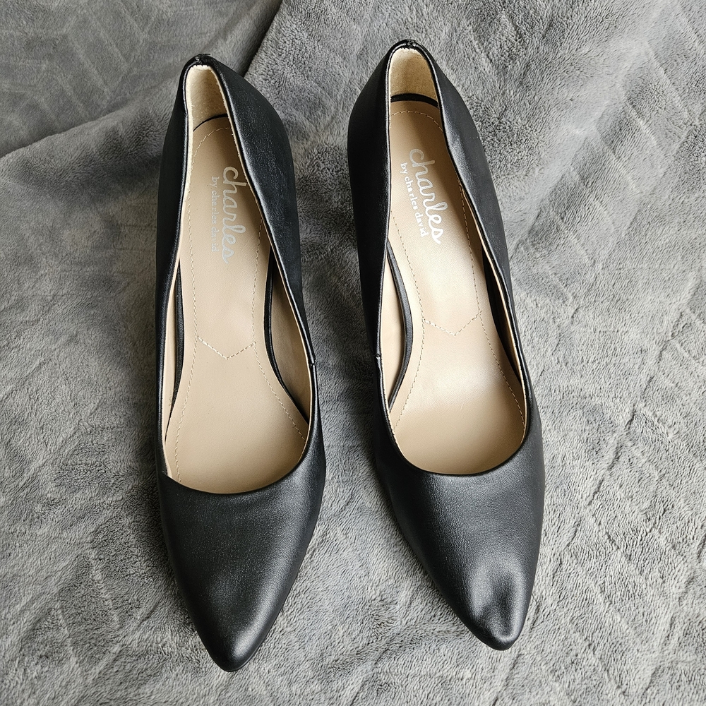 Charles & Keith Classic Black Pointed Heels
